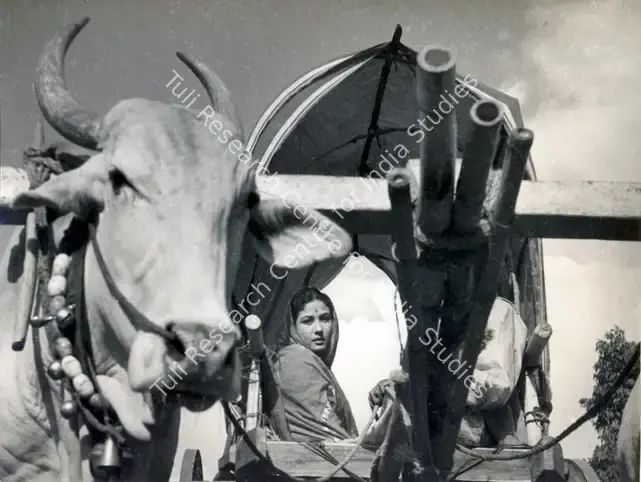 Thakur, Ranjodh (Cinematographer), Sahara, 1958 | Photographic Still | CinemaEducation | 00887793