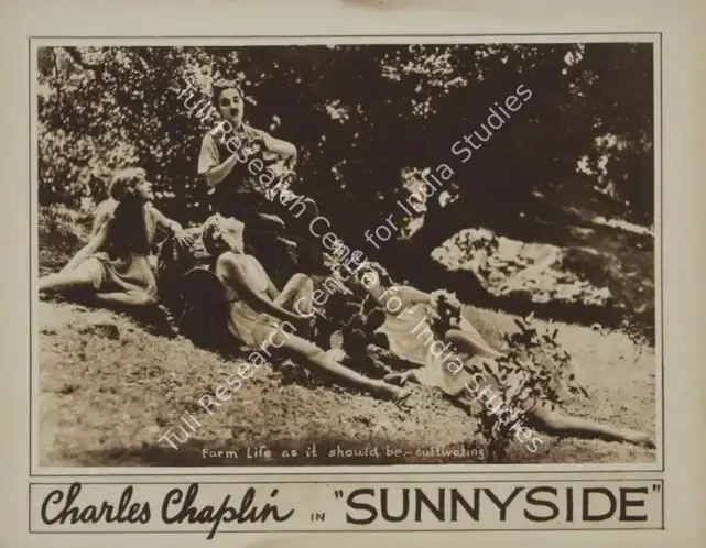 Totheroh, Roland (Cinematographer), Sunnyside, 1919 | Photographic Still Mounted on Lobby Card | CinemaEducation | 00795059