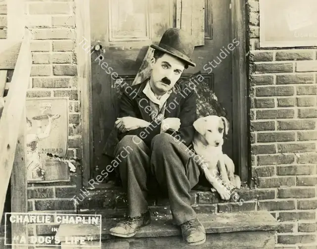 Totheroh, Roland (Cinematographer), A Dog's Life, 1918 | Lobby Card | CinemaEducation | 00794970