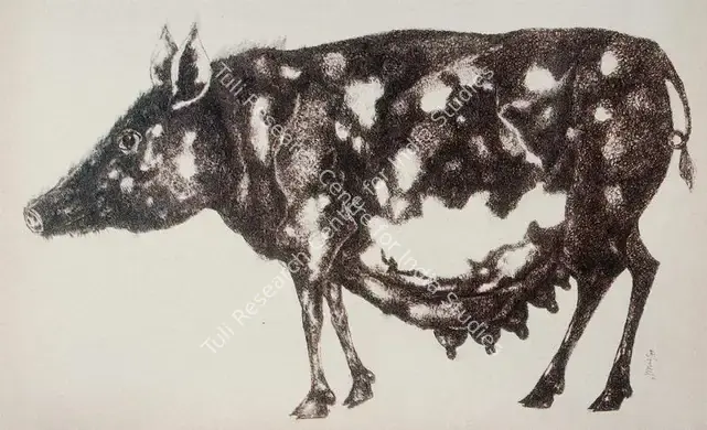 Sanyal, Gopal (Artist). Pig. Pen and ink on paper, 1974 | Painting | FineArts | 00376073