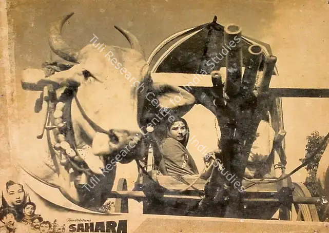 Thakur, Ranjodh (Cinematographer), Sahara, 1958 | Lobby Card | CinemaEducation | 00826442