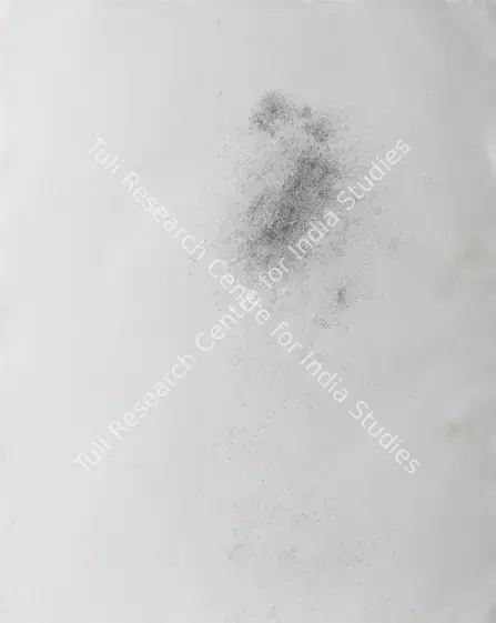 Kothari, Neerja (Artist). Gathering Evidence on One’s Trace (5900). Graphite and ink on paper, 2013 | Painting | EconomicsArt | 00869464