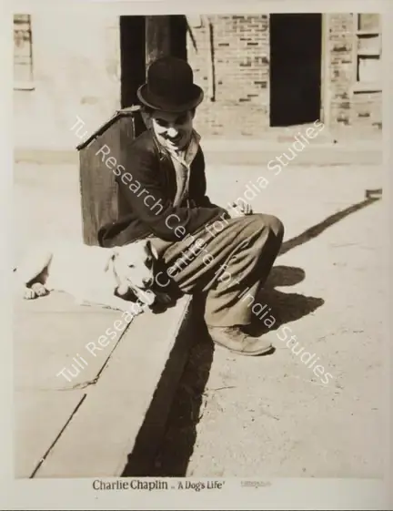 Totheroh, Roland (Cinematographer), A Dog's Life, 1918 | Photographic Still | CinemaEducation | 00795056