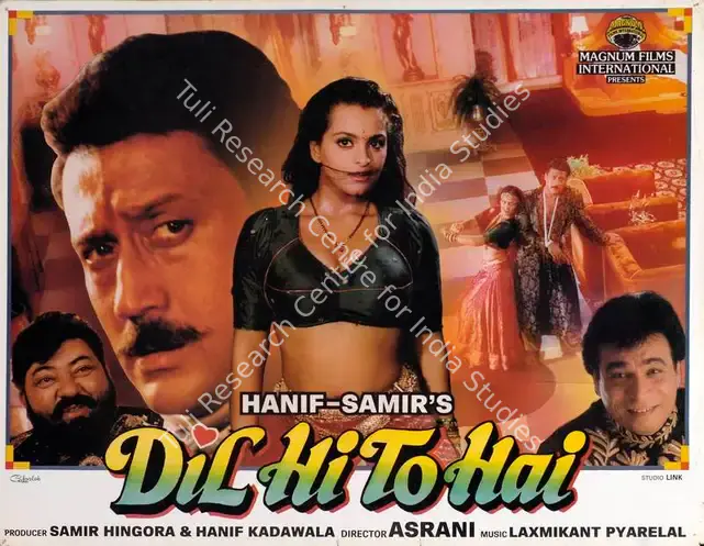 Hingora, Samir (Producer), Dil Hi To Hai, 1993 | Lobby Card | CinemaEducation | 00783851