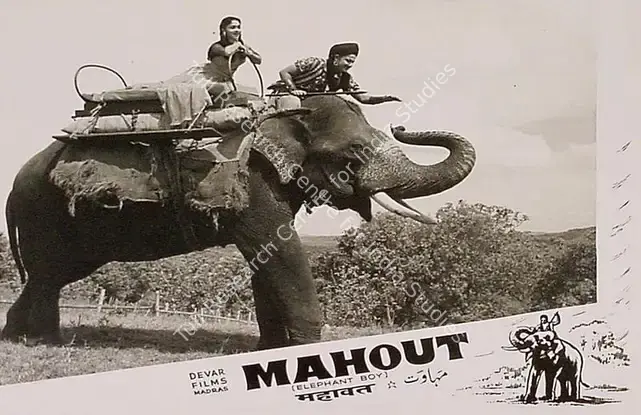 Thirumugam, M.A. (Director), Mahout, 1961 | Lobby Card | CinemaEducation | 00819773