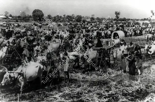 Irani, Faredoon A. (Cinematographer), Mother India, 1957 | Photographic Still | CinemaEducation | 00886407