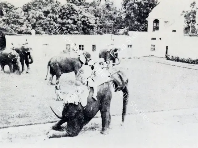 Khanna, Krishen (Photographer). People and Elephants Posed for the Painting. 1940 | Contemporary Photograph, Marg, December 1971 | Photography | 00513049