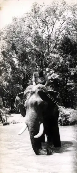 Rai, Dhanpat (Producer), Rocket Tarzan, 1963 | Photographic Still | CinemaEducation | 00887608