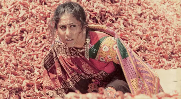 Jehangir Chowdhury | A Cinematographer's Journey