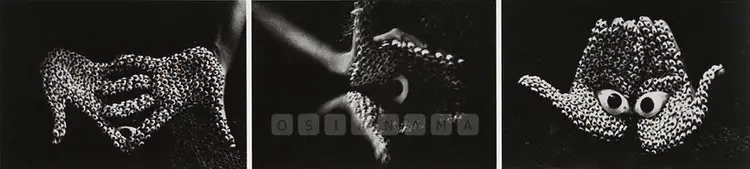 Dube, Anita (Artist). Offering. Gelatin silver prints, 2000 | Print | FineArts | 00575668