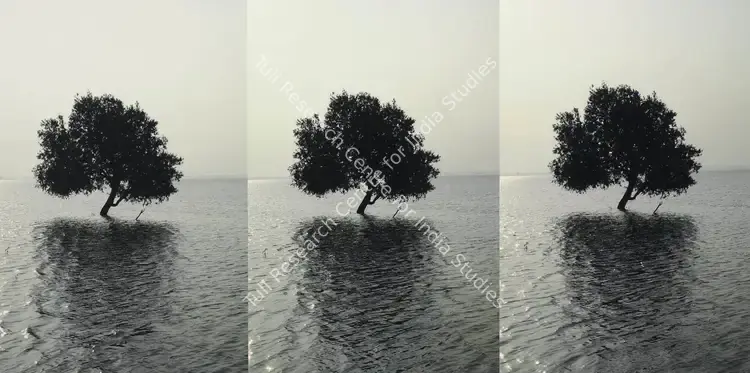 Bhalla, Atul (Artist). Alone And Again. Digital cibachrome print on archival paper, 2007 | Print | FineArts | 0023268