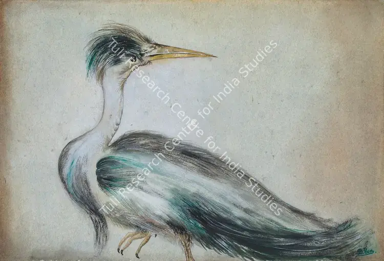 Sen, Bireshwar (Artist). The Bird. Watercolour on paper, 1967 | Painting | FineArts | 00646789