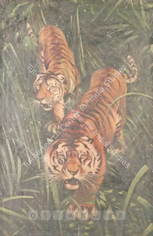 20th Century Indian School (Artist). Tigers. Gouache on card, n.d. | Painting  | 00877032