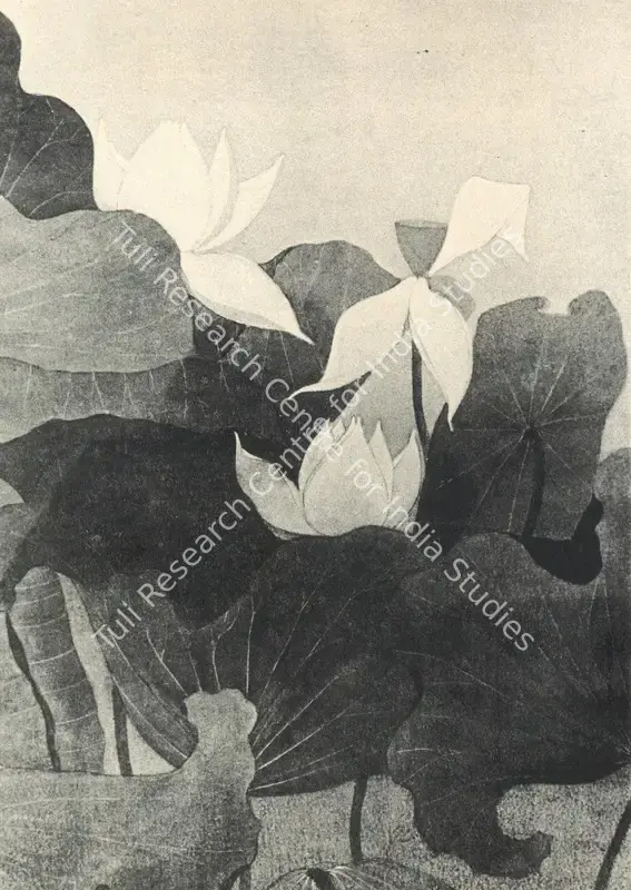 Menon, K. Madhava (Artist). Lotuses. Watercolour, n.d. | Marg, March 1979 | Painting | FineArts | 00674555