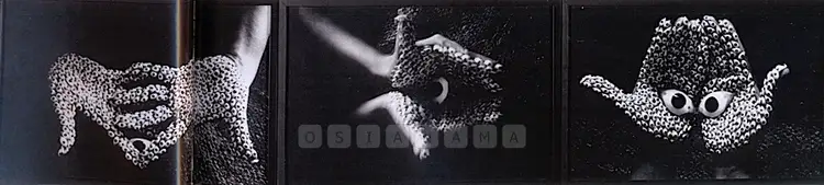Dube, Anita (Artist). Offering. Black and white photography, 2000 | Photograph | FineArts | 00576562