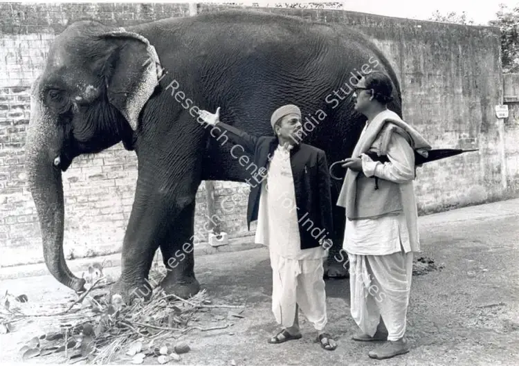 Roy, Soumendu (Cinematographer), Jana Aranya, 1976 | Photographic Still | CinemaEducation | 00663380