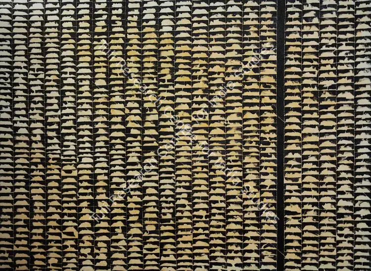 Akhilesh (Artist). Para. Acrylic on canvas, 2004 | Painting | FineArts | 00644833
