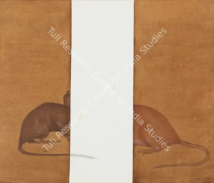 Muhammad, Zeeshan (Artist). Untitled. Watercolour and pencil on wasli, 2006 | Painting | FineArts | 00643179