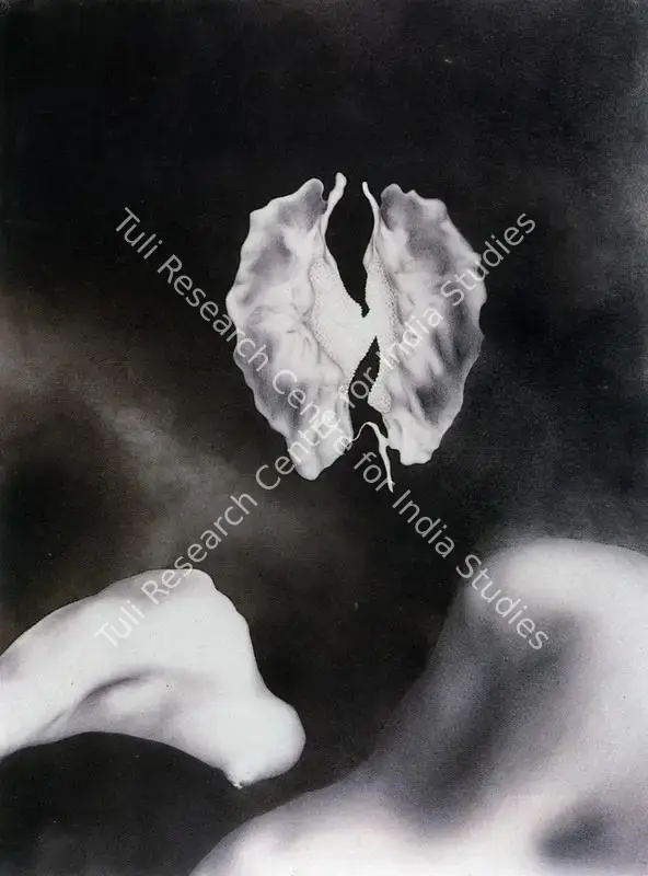 Broota, Vasundhara Tewari (Artist). Untitled. Pencil, priming ink and watercolour on paper, 1985 | Painting | FineArts | 00371868