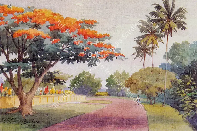 Amarasekara, Abraham C.G.S. (Artist). Sunset. Oil on board, 1926 | Painting  | 00877177
