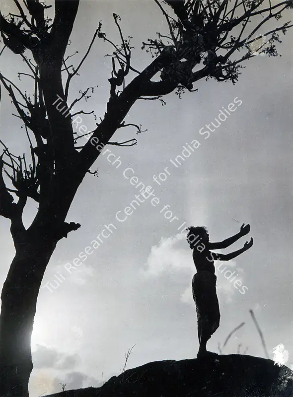 Bhatt, Shanker (Producer), Bal Yogi Upamanyu, 1958 | Photographic Still | CinemaEducation | 00830293