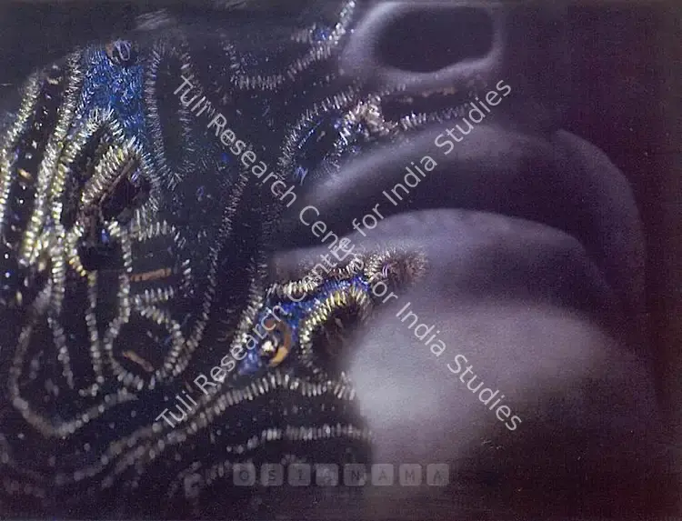 Kamat, Vidya (Artist). Birth Mark Series. Digital print On archival paper, 2007 | Print | FineArts | 00575852