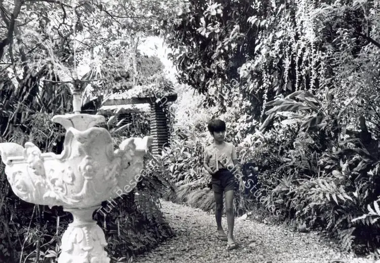Roy, Soumendu (Cinematographer), Pikoo, 1980 | Photographic Still | CinemaEducation | 00663504