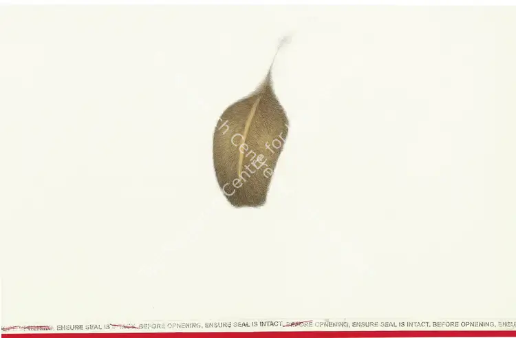 Zeeshan, Muhammed (Artist). Untitled (Directions). Gouache with photo transfer ink on wasli, 2007 | Painting | FineArts | 0023181