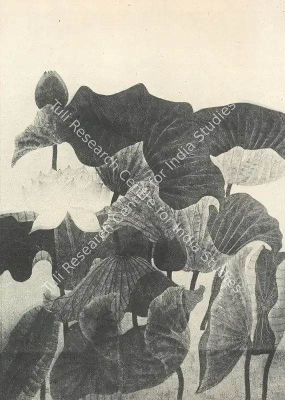 Menon, K. Madhava (Artist). Lotus. Watercolour, n.d. | Marg, March 1979 | Painting | FineArts | 00674553