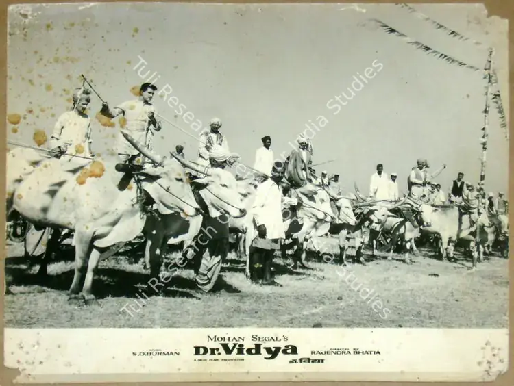 Puttu, C.S. (Cinematographer), Dr Vidya, 1962 | Lobby Card | CinemaEducation | 00812051