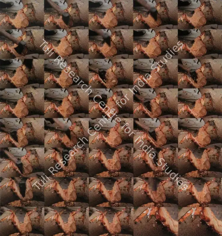 Bhalla, Atul (Artist). Sap. Digital print on archival paper, Edition 1/3, 2007 | Print | FineArts | 00562199