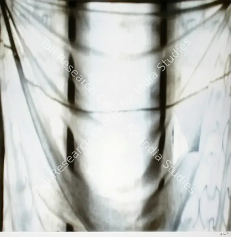 Bhaskar, Binu (Artist). Absence Of White Lies. Digital Print on archival paper, 2006-2007 | Print | FineArts | 0023641