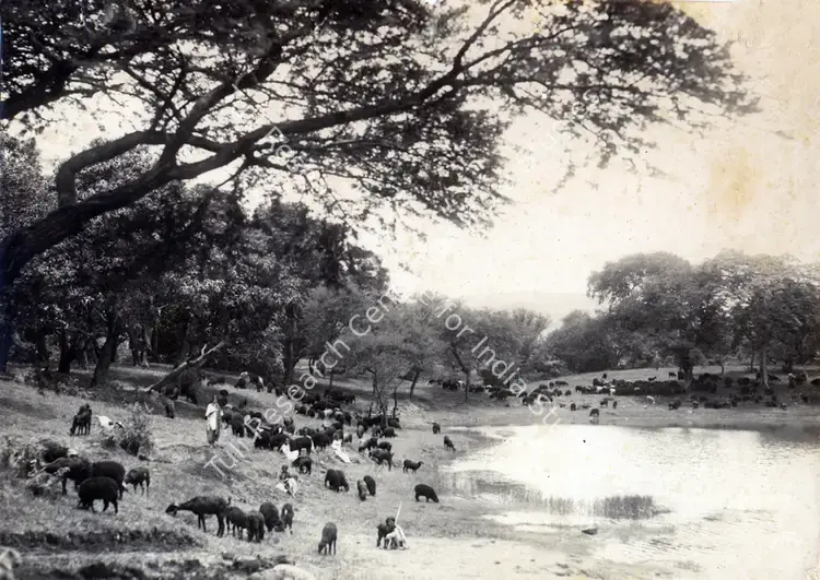 Vakil, Madanrai (Director), Noor E Iman, 1933 | Photographic Still | CinemaEducation | 00832937