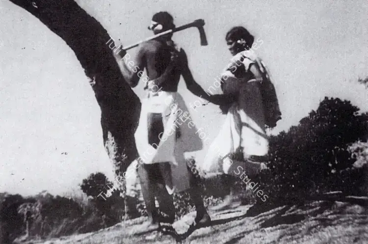 Ghatak, Ritwik (Director), Ajantrik, 1958 | Photographic Still, Rows and Rows of Fences, 2000 | CinemaEducation | 00457603