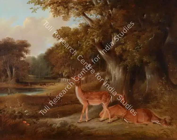 Daniell, William (Artist). Deer in a Wooden Landscape. Oil on canvas, n.d. | Painting | FineArts | 00595959