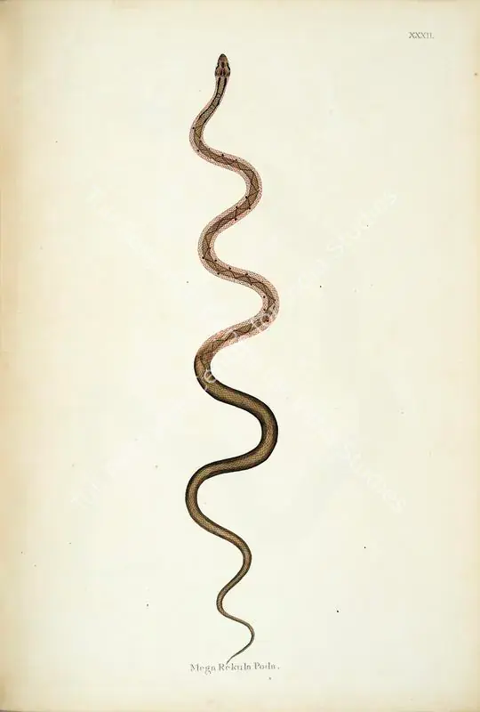 Skelton, William (Engraver). Mega Rekula Poda. Print on paper, circa 1796 | Engraving, An Account of Indian Serpents, 1796 | Continuum | 00156398