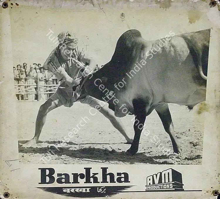 Meiyappan, A.V. (Producer), Barkha, 1959 | Lobby Card | CinemaEducation | 00815505