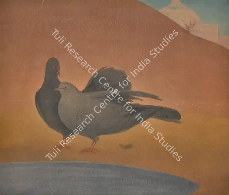 Chughtai, M.A.R. (Artist). Untitled (Pigeons). Watercolour on paper, 1936 | Painting | FineArts | 00335495