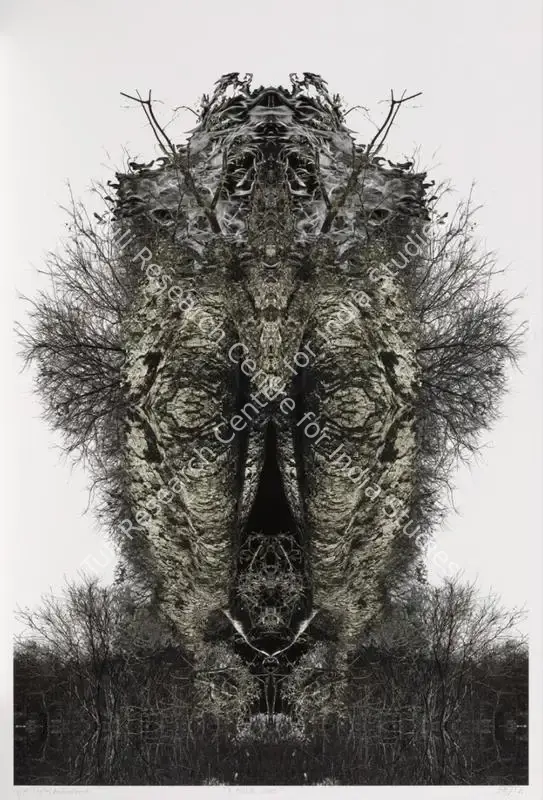 Sopariwala, Ronak (Artist). A Poetic Chaos. Digital print on archival paper pasted on sunboard, 2021 | Print | FineArts | 00417964