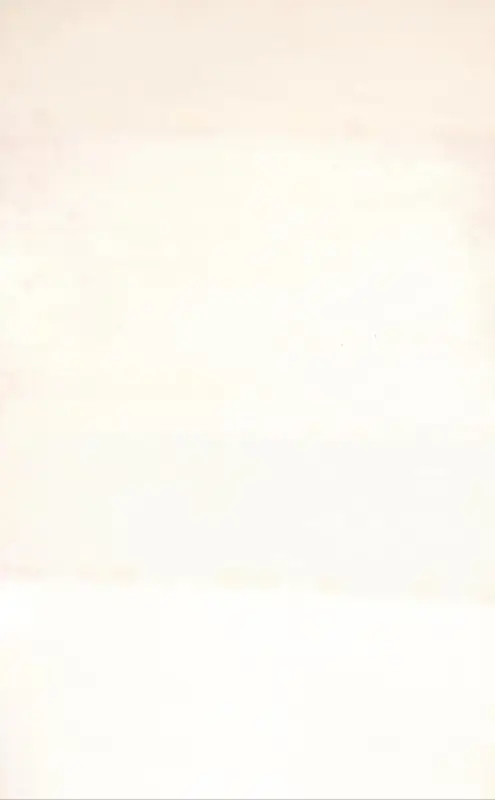 Patel, Homi (Artist). Untitled. Oil on canvas, 1973 | Painting | FineArts | 00603320