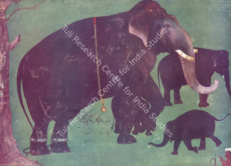 Guman, Alam (Artist). Jehangir's Royal Elephant. 17th Century | Marg, April 1953 | Painting | FineArts | 00673925