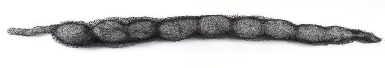 Dixit, Smriti (Artist). Seed: Nature Study. Polyproline, 2020 | Sculpture | FineArts | 00417953