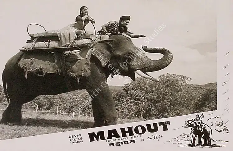 Thirumugam, M.A. (Director), Mahout, 1961 | Lobby Card | CinemaEducation | 00819773