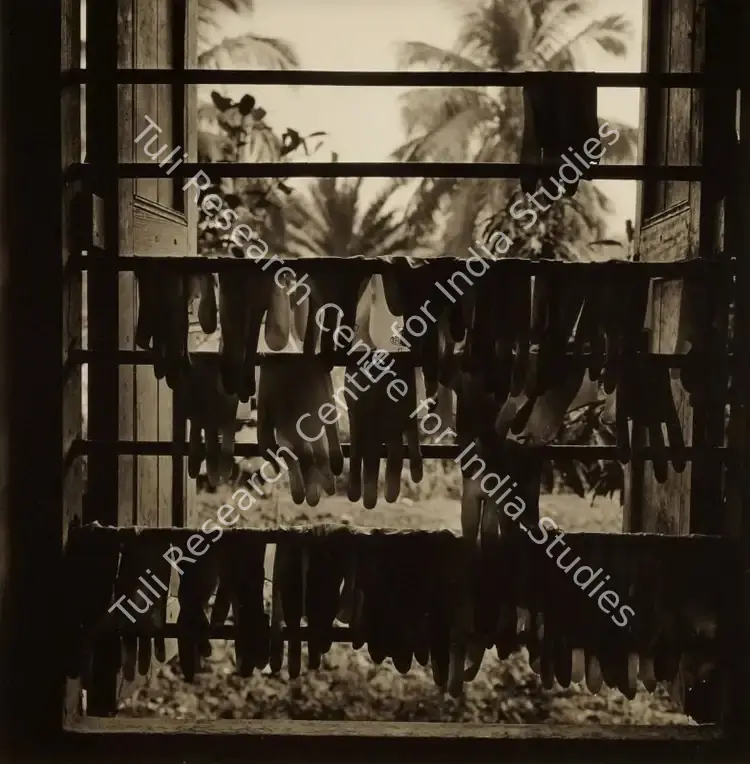 Singh, Dayanita (Artist). Sundarba Gloves. Gelatine silver print, Edition 2/7, 2006 | Print | FineArts | 00642925