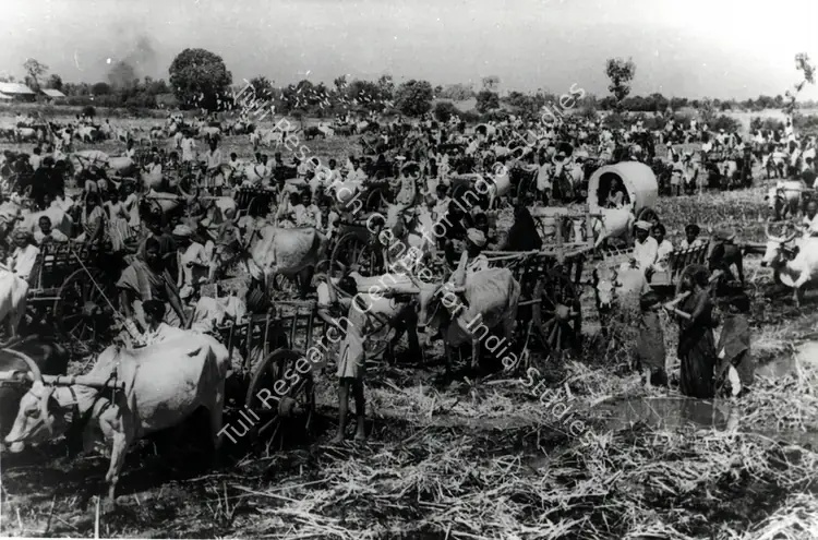 Irani, Faredoon A. (Cinematographer), Mother India, 1957 | Photographic Still | CinemaEducation | 00832497