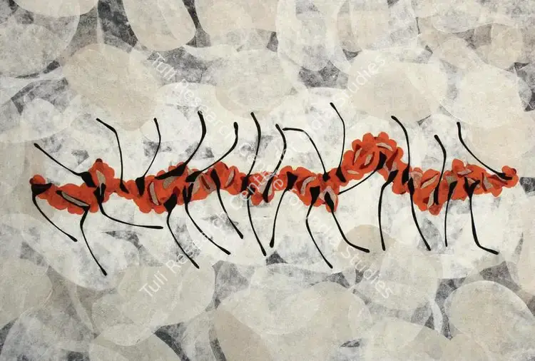 Parekh, Manisha (Artist). Wobble. Handmade paper on board, 2005 | Drawing | FineArts | 00599324