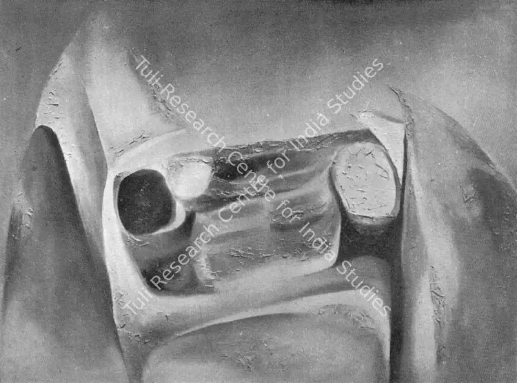 Prakash, Surya (Artist). Mobile Ten. Oil, 1967 | Lalit Kala Contemporary, September 1967-April 1968 | Painting | FineArts | 00535016