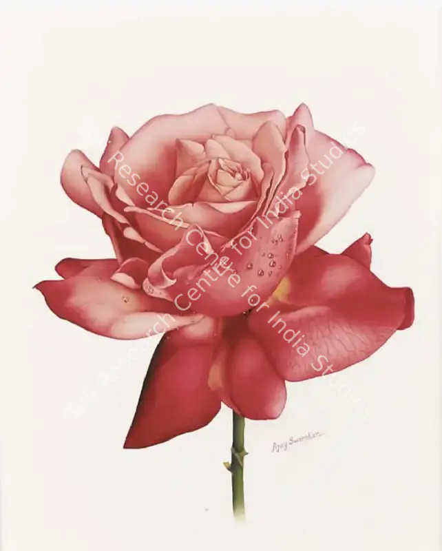 Swarnkar, Ajay (Artist). Pink Rose. Gouache on paper, n.d. | Painting | FineArts | 00372977