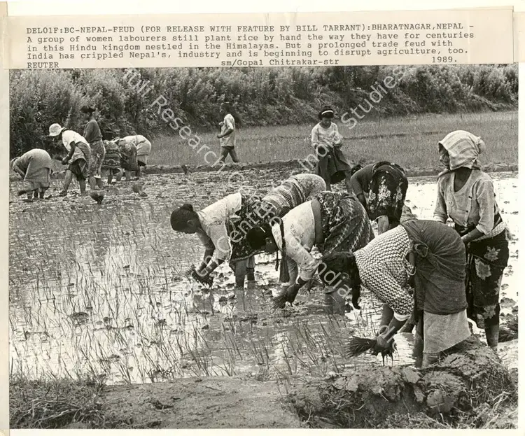 Chitrakar, Gopal (Photographer), Del01F: Bc - Nepal - Feud (For Release With Feature By Bill Tarrant): Bharatnagar, Nepal, 1989 | Contemporary Photograph | Photography | 00113223