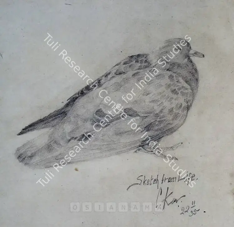 Kar, Chintamoni (Artist). Bird. Pencil on paper, 1935 | Drawing  | 00880919